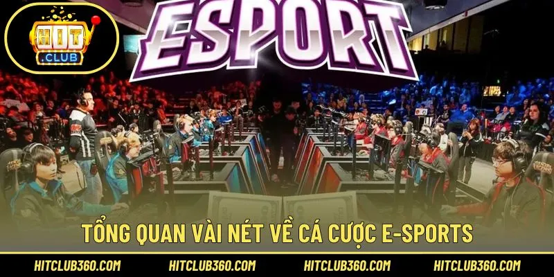 Đôi nét về cá cược E-sports