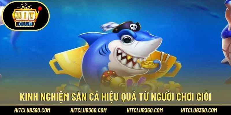 Kinh nghiệm săn cá hiệu quả từ người chơi giỏi